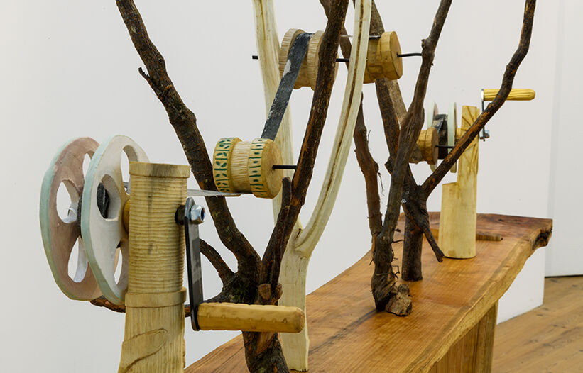 Discrète est la lumière