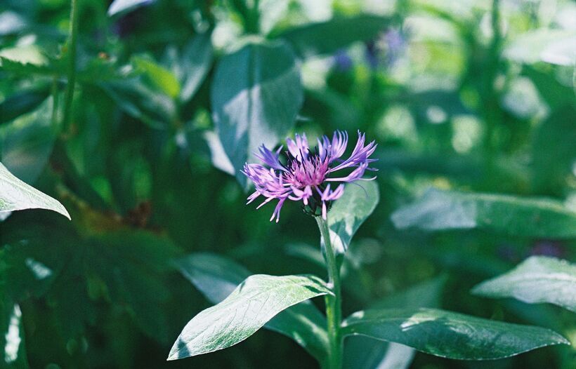 Ateliers Étoiles de Terre