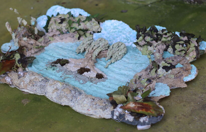 Paysages Camouflages