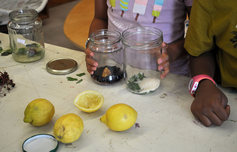 Récits pétris et fermentés