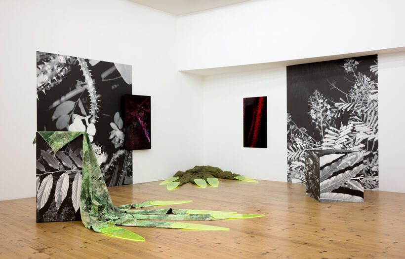 Un féminaire, frontière