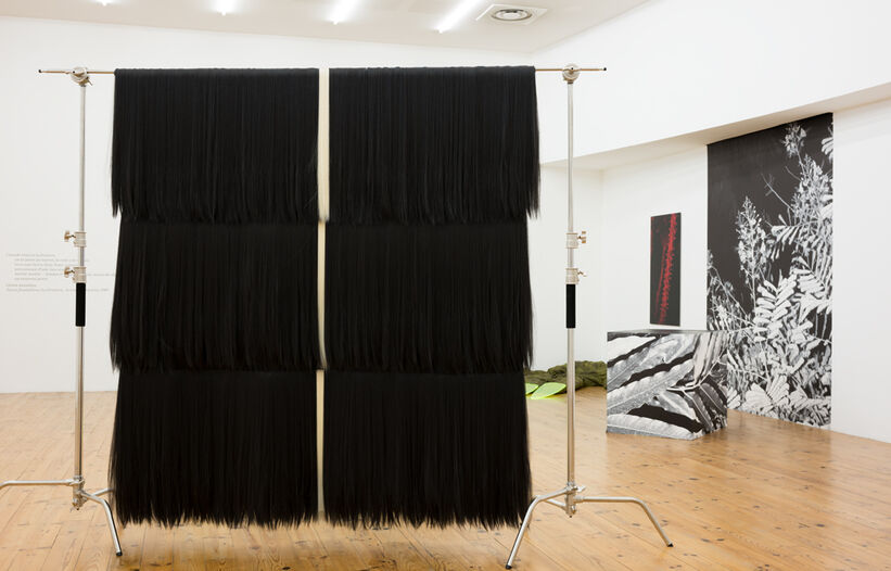 Un féminaire, frontière